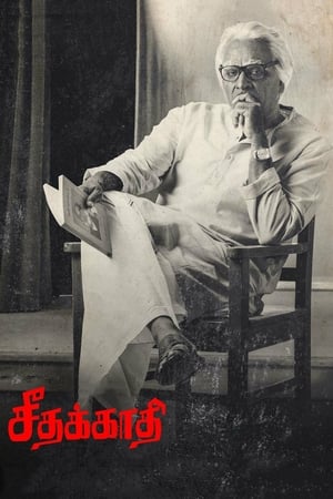 Seethakaathi (2018) Hindi Dubbed HDRip [1.1GB]