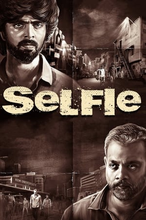 Selfie (2022) [Hindi + Tamil] HDRip – 480p – 1080p