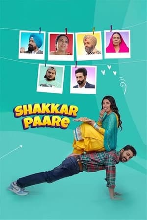 Shakkar Paare 2022 Punjabi Movie Pre-DVDRip – 480p