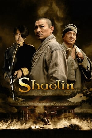 Shaolin (2011) Hindi Dual Audio BluRay 400MB