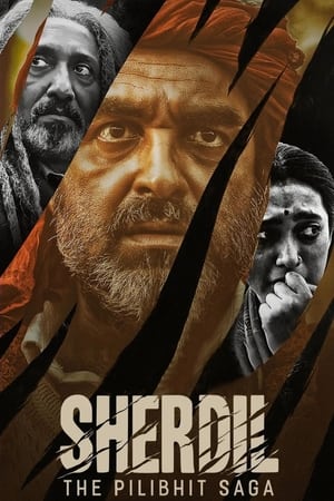 Sherdil 2022 Hindi Movie HDRip – 480p