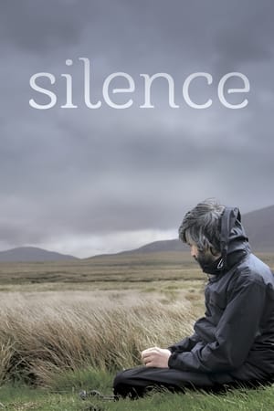 Silence (2013) Hindi Movie HDRip - [300MB]
