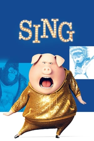 Sing (2016) Hindi Dual Audio BluRay 330MB