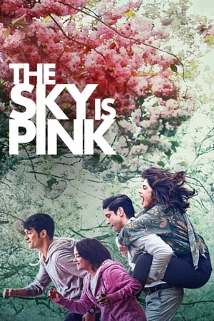 Sky Is Pink (2019) Hindi Movie HDRip – [450MB]