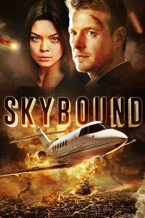 Skybound (2017) Hindi Dual Audio BluRay 350MB