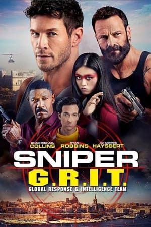 Sniper GRIT Global Response and Intelligence Team 2023 Hindi Dual Audio HDRip – 480p