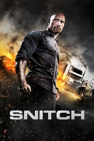 Snitch (2013) Hindi Dual Audio BluRay 350MB