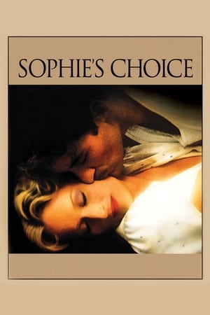 Sophie's Choice (1982) Dual Audio Hindi BluRay 460MB