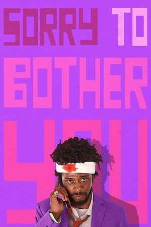 Sorry to Bother You (2018) Hindi Dual Audio BluRay [1GB]