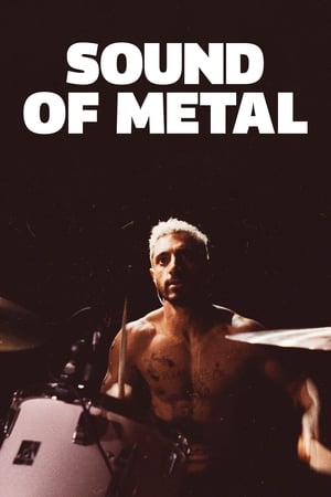 Sound of Metal (2019) Hindi Dual Audio HDRip – 480p