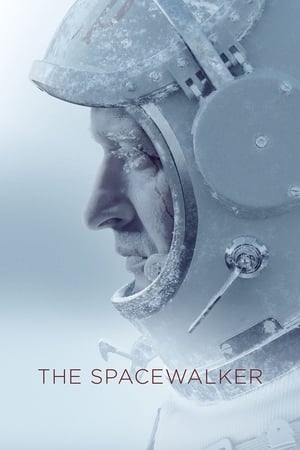 Spacewalk 2017 Hindi Dual Audio HDRip – 480p