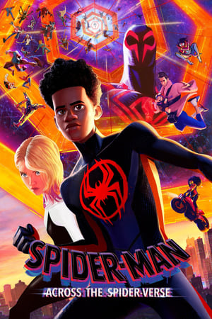 Spider-Man: Across the Spider-Verse 2023 Hindi (ORG) HDRip | 480p