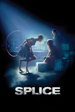 Splice 2009 Hindi Dual Audio BluRay 330MB