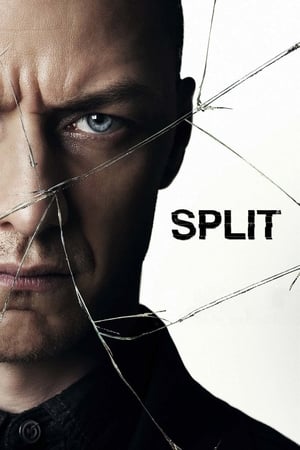 Split (2016) Hindi Dual Audio BluRay 400MB