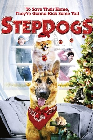 Step Dogs 2013 Hindi Dual Audio BluRay 300MB