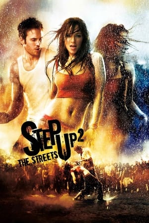 Step Up 2 The Streets 2008 Hindi Dual Audio BluRay 300MB
