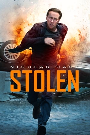 Stolen (2012) Hindi Dual Audio BluRay [800MB] ESubs