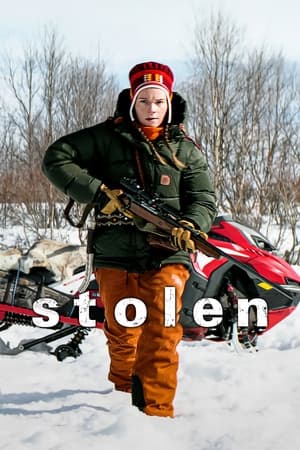 Stolen (2024) Hindi Dual Audio HDRip – 720p – 480p