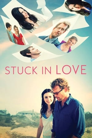 Stuck in Love (2012) Hindi Dual Audio BluRay [850MB]