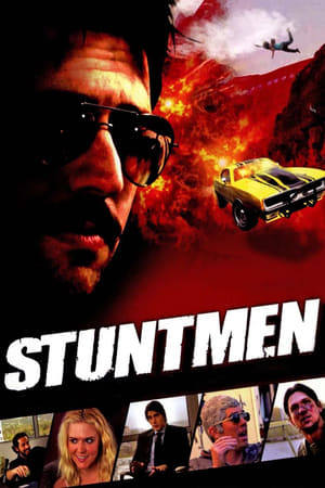 Stuntmen 2009 Hindi Dual Audio WebRip 300MB