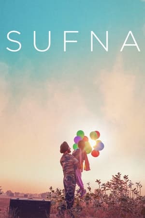 Sufna (2020) Hindi Movie HDRip x264 [1GB]
