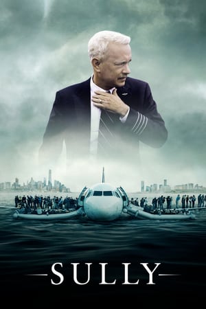 Sully (2016) Hindi (Unofficial Dubbed) Dual Audio BluRay [] [720p]