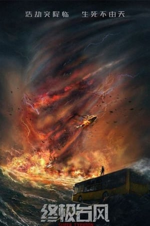 Super Typhoon 2020 Hindi Dual Audio HDRip – 480p