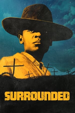 Surrounded 2023 Hindi Dual Audio HDRip – 480p