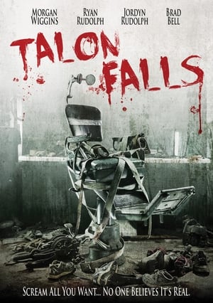 Talon Falls (2017) Hindi Dual Audio BluRay [1GB]
