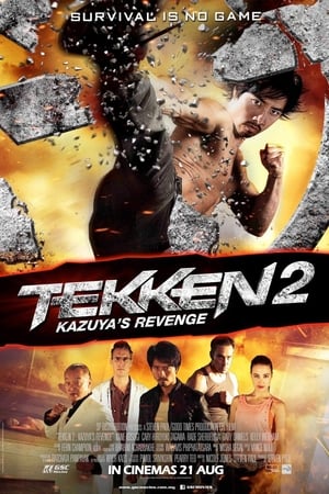 Tekken Kazuyas Revenge 2014 Hindi Dual Audio BluRay 300MB