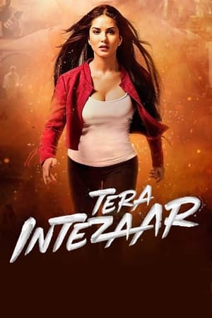 Tera Intezaar 2017 Movie HDRip x264 [850MB]