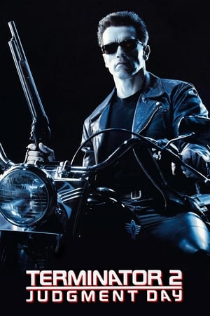 Terminator 2 (1991) Hindi Dual Audio BluRay 500MB