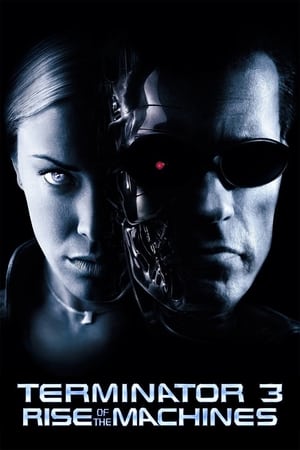 Terminator 3: Rise of the Machines (2003) Hindi Dual Audio BluRay [850MB]
