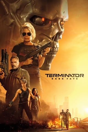 Terminator: Dark Fate (2019) Hindi (Org) Dual Audio BluRay 400MB