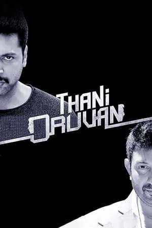 Thani Oruvan 2015 Hindi - Tamil Dubbed HDRip [1.5GB] Download