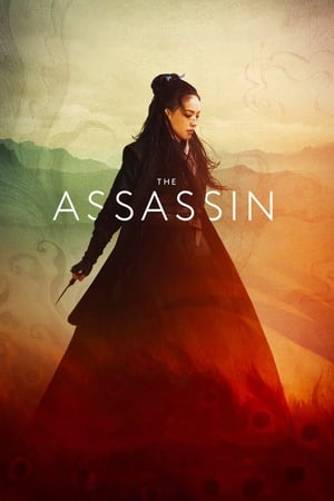 The Assassin 2015 Hindi Dual Audio BluRay [1.1GB]