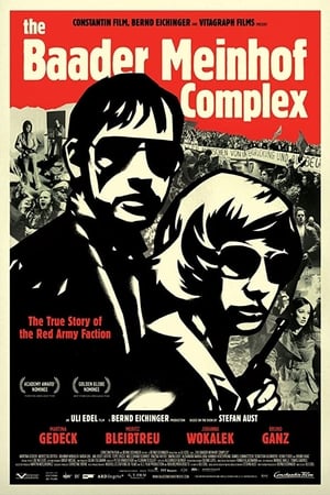 The Baader Meinhof Complex (2008) Hindi Dual Audio HDRip 500MB