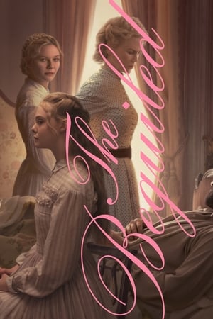 The Beguiled (2017) Hindi Dual Audio BluRay 330MB