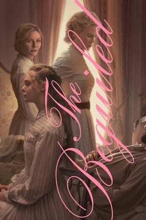 The Beguiled (2017) Hindi Dual Audio BluRay [780MB]
