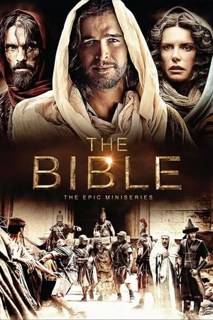 The Bible 2013 S01E05 (Hindi) Dubbed BRRip [250MB]