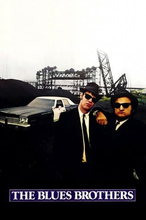 The Blues Brothers (1980) Hindi Dual Audio BluRay [3.3GB]
