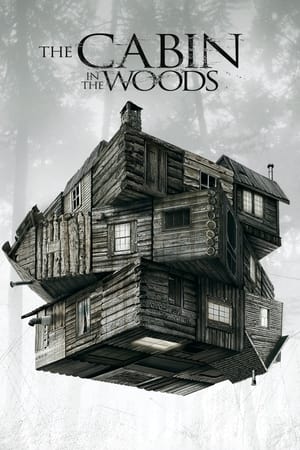 The Cabin in the Woods 2012 Dual Audio Hindi BluRay [800MB] ESubs