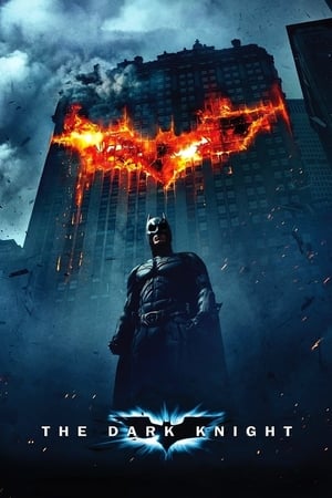 The Dark Knight (2008) Hindi Dual Audio Bluray [1.0GB] Download