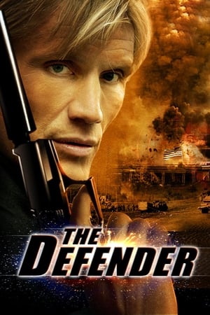 The Defender (2004) Hindi Dual Audio BluRay 300MB