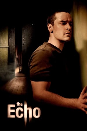 The Echo (2008) Hindi Dual Audio BluRay 300MB