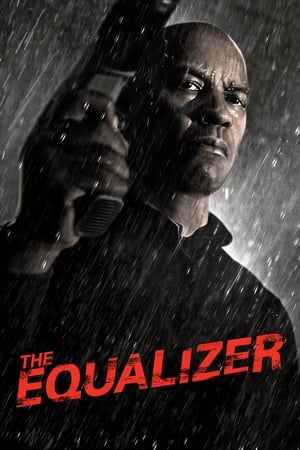 The Equalizer (2014) Hindi Dual Audio BluRay – 480p