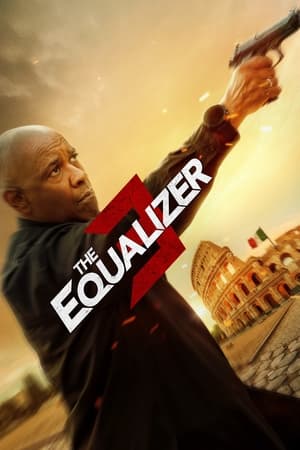 The Equalizer 3 2023 Hindi (ORG) Dual Audio Web-DL – 480p