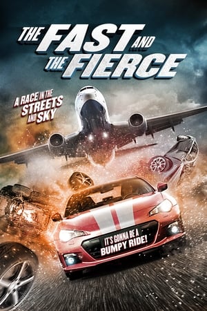 The Fast and the Fierce 2017 Hindi Dual Audio BluRay [900MB]