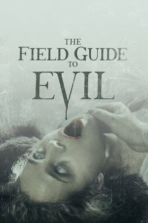 The Field Guide to Evil 2018 Hindi Dual Audio BluRay 350MB