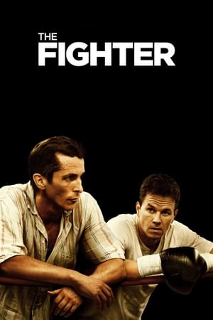 The Fighter (2010) Hindi Dual Audio BluRay [700MB]
